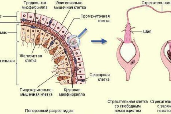 Кракен вход официальная ссылка