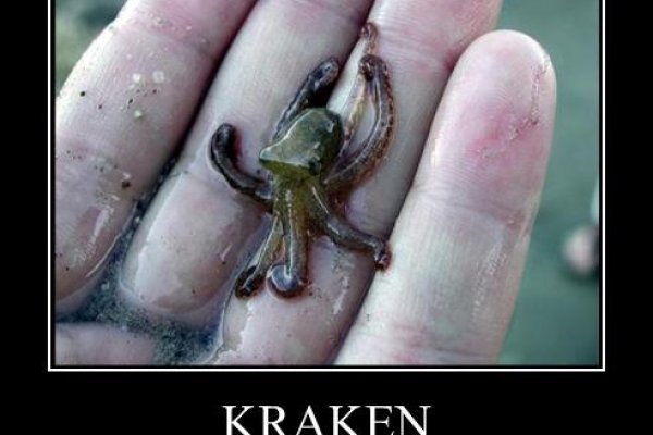 Kraken 13 at