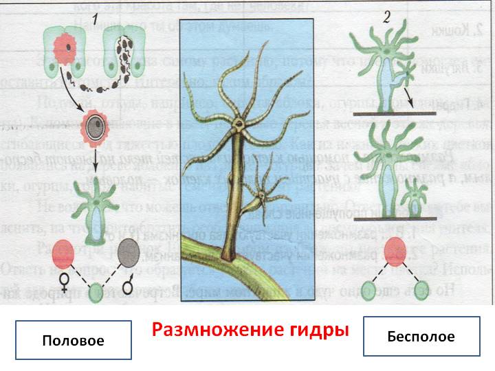 Kraken tor ссылка kraken014 com